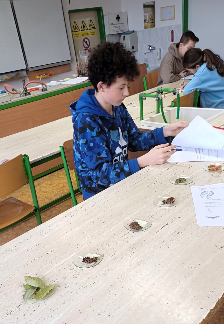 BiO_školní_4