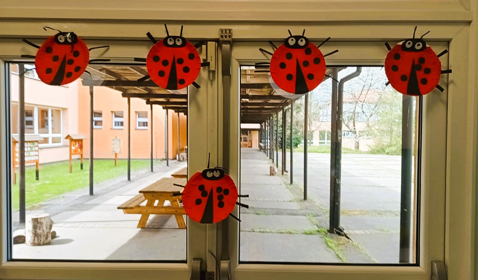 5c