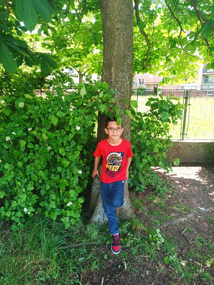 IMG_20250527_144136