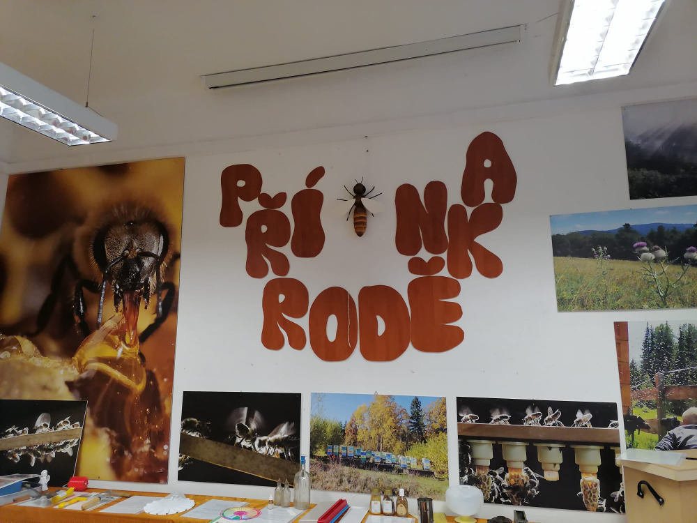 ŠD_Příroděnka_4