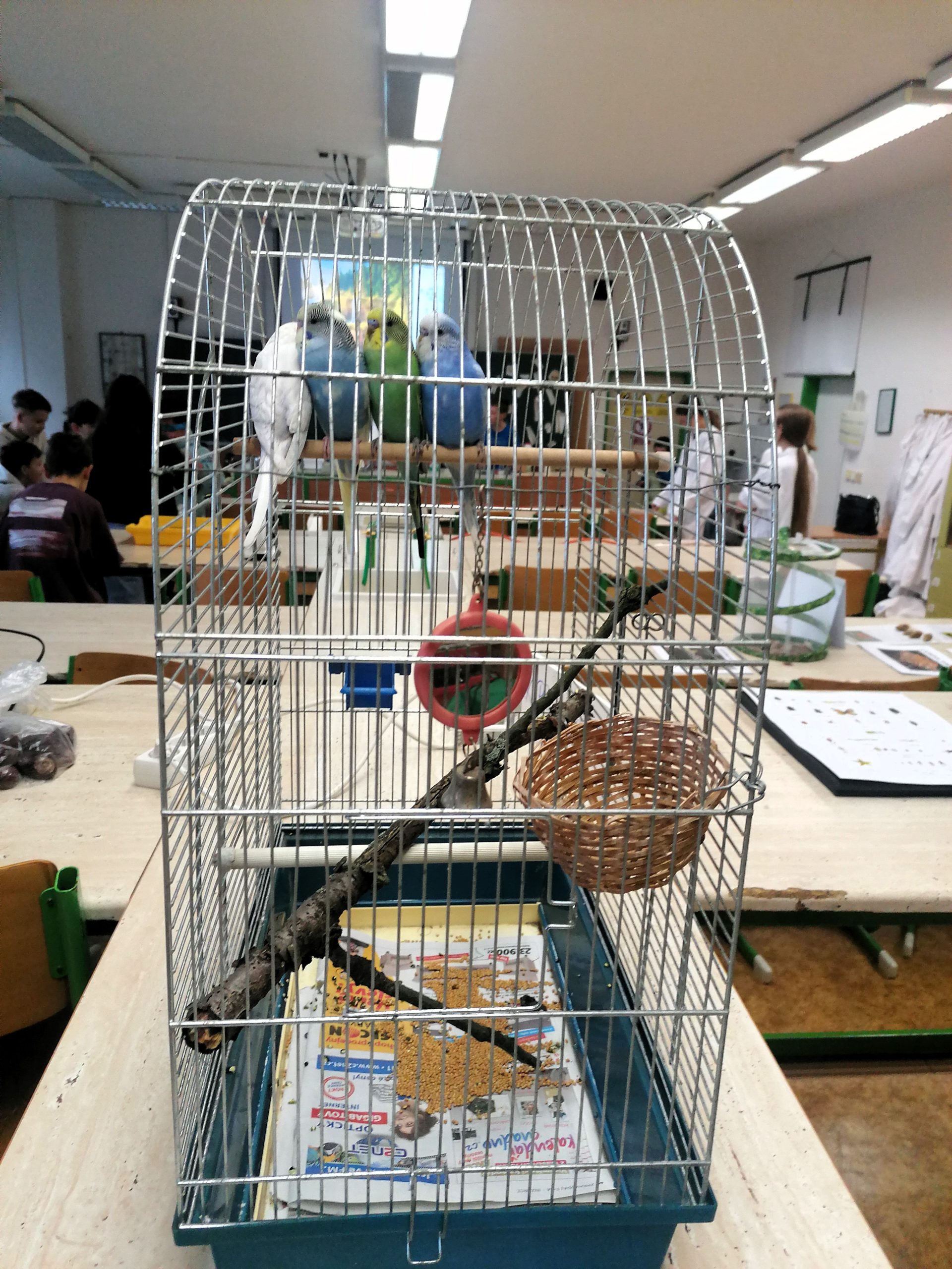 Návštěva_páťáků_Př_5