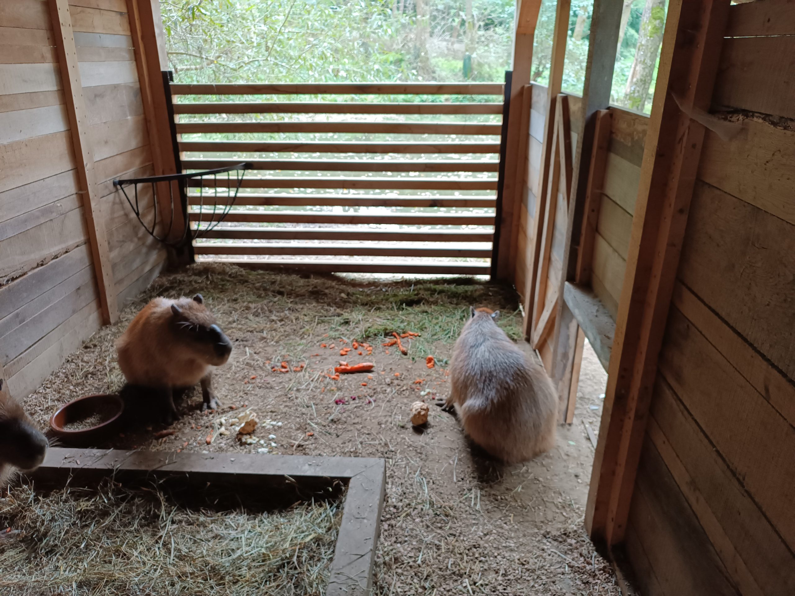 6a_Adaptační_výlet_6