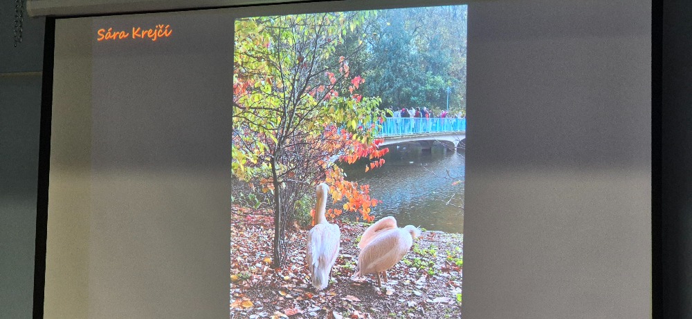 Mistři_objektivu_12