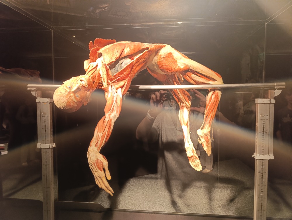 8ab_Praha_výstava_3