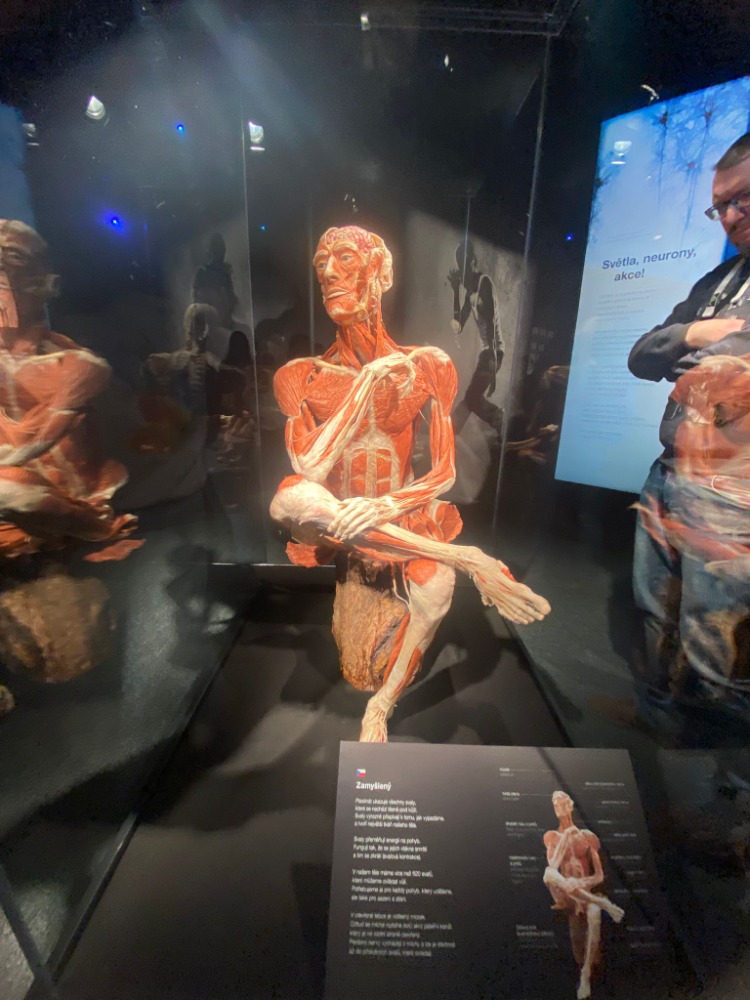 8ab_Praha_výstava_4