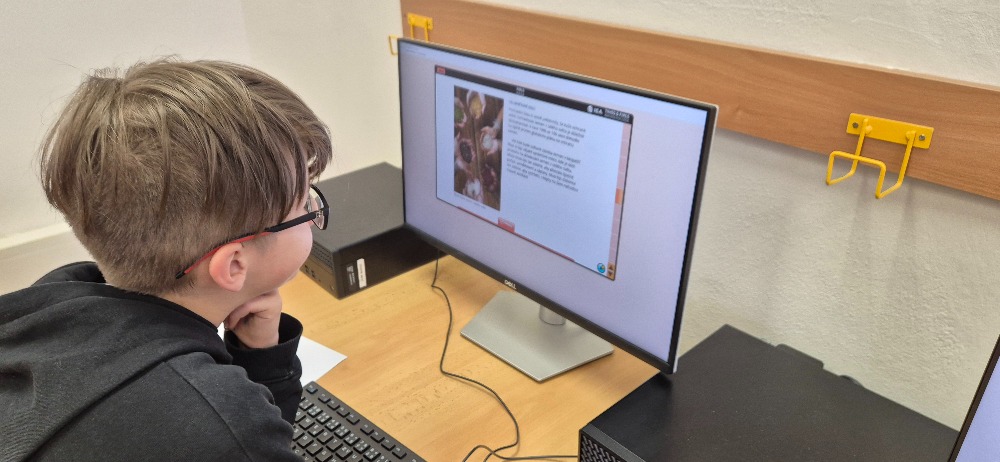 Testování_PIRLS_20