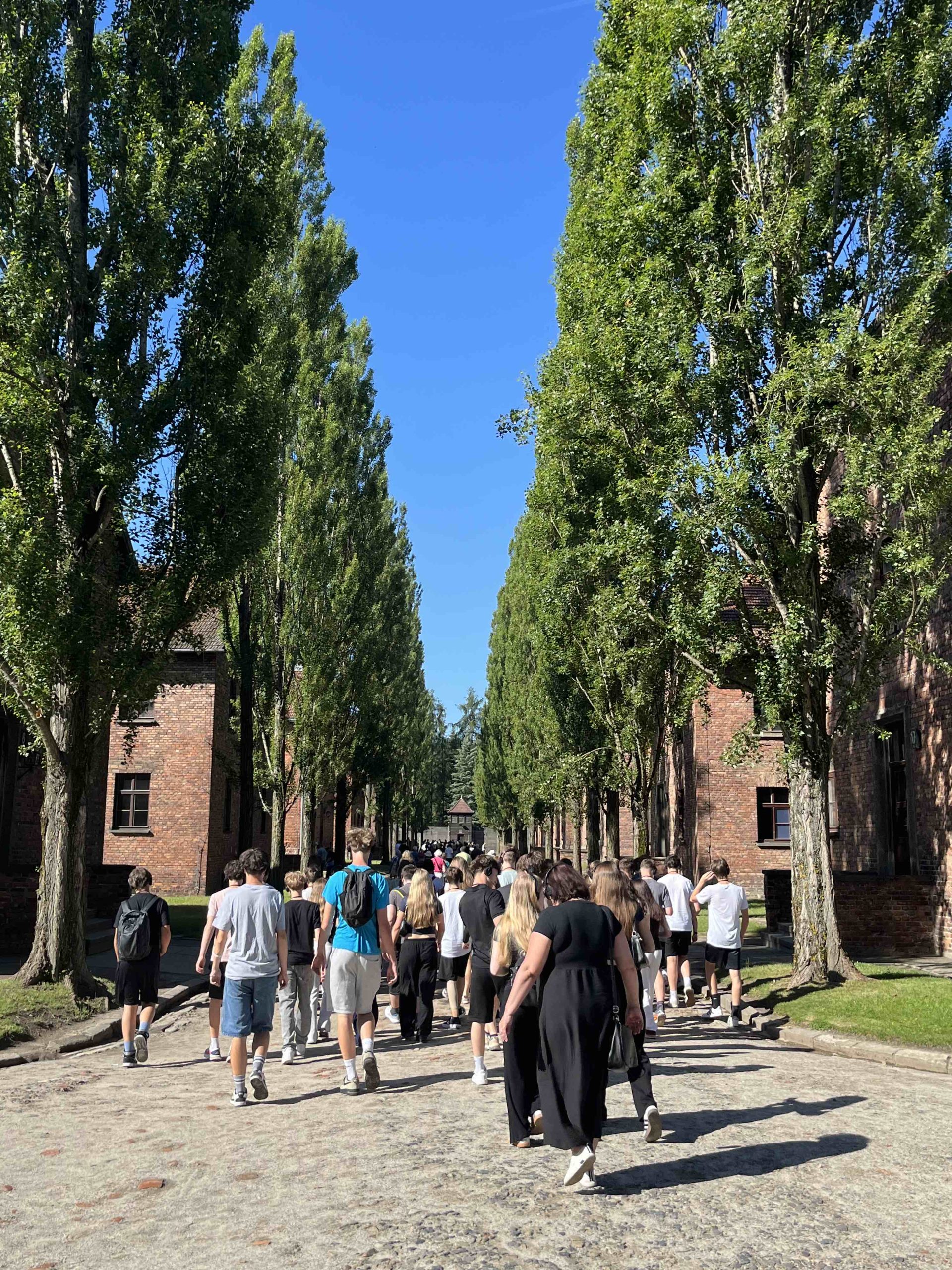 8r9r_Osvětim_5