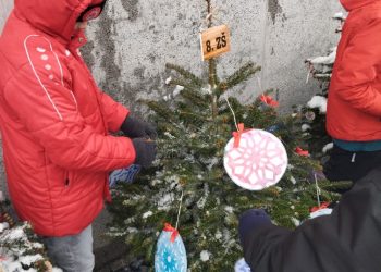 5r_Zdobení_stromku_Magistrát_3